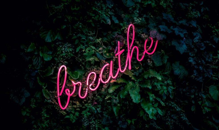 Understanding the Basics of Mindfulness
